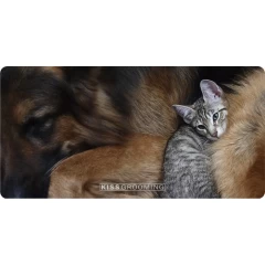 Коврик для стола Toex 90х60 см кот с собачкой