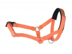 Недоуздок AmiPlay Cotton, размер XS, оранжевый