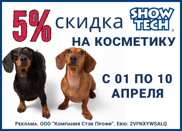 01 - 10 апреля 2024