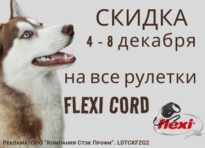 4 - 8 декабря 2023