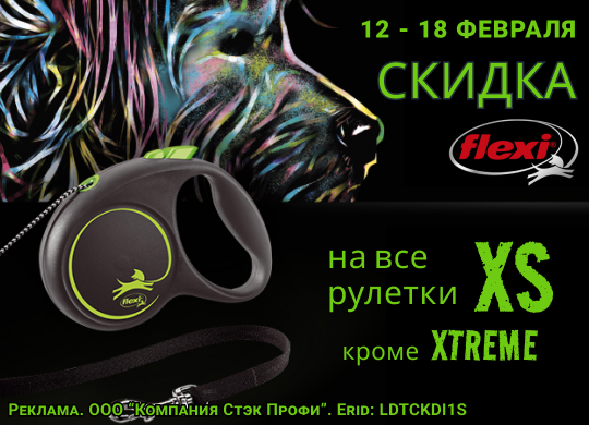 12 - 18 февраля 2024