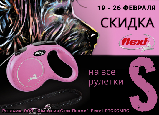 19 - 26 февраля 2024