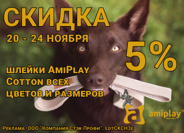 20-24 ноября 2023