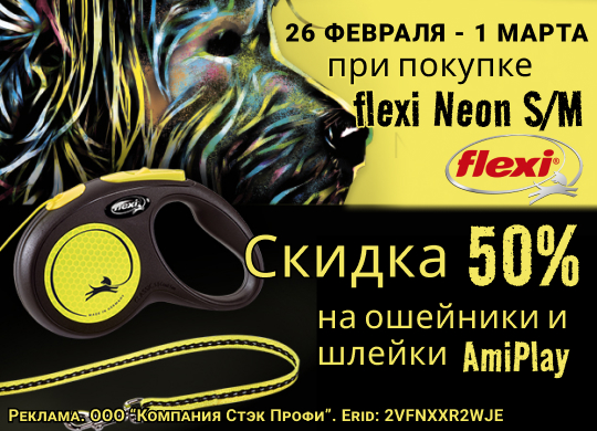 26 февраля - 1 марта 2024