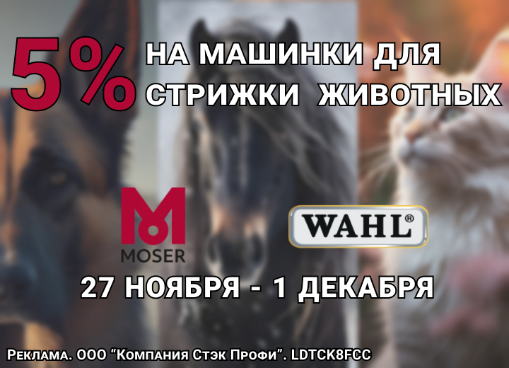 27 ноября - 1 декабря 2023