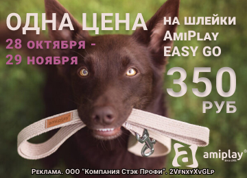 28 октября - 29 ноября 2024