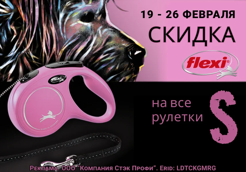 ООО Компания Стэк Профи
