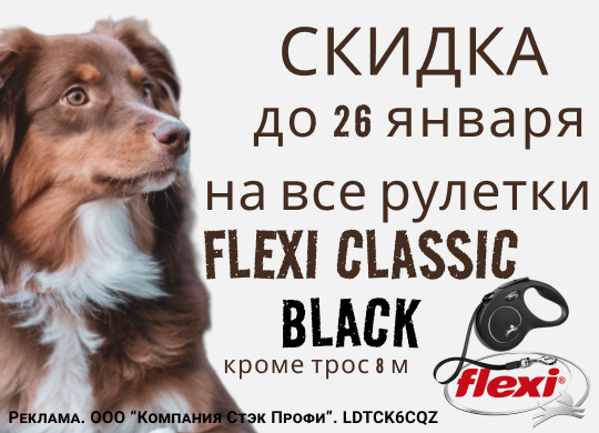 17 - 26 января 2024