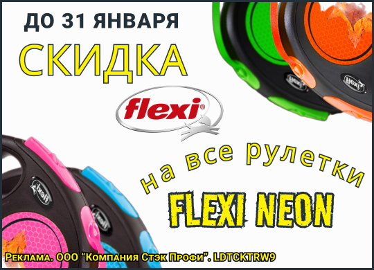 17 - 31 января 2024